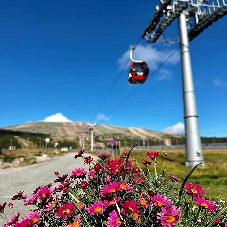 Apartment Porokello, Talvikaudella 2 Hissilippua, 2 Skilift-tickets In Winter *